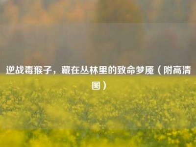 逆战毒猴子，藏在丛林里的致命梦魇（附高清图）