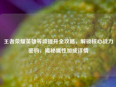 王者荣耀英雄等级提升全攻略，解锁核心战力密码，揭秘属性加成详情