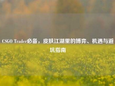 CSGO Trader必备，皮肤江湖里的博弈、机遇与避坑指南
