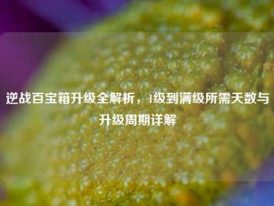 逆战百宝箱升级全解析，1级到满级所需天数与升级周期详解