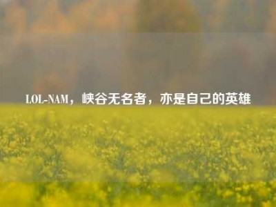 LOL-NAM，峡谷无名者，亦是自己的英雄