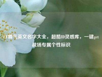 CF霸气英文名字大全，超酷ID灵感库，一键get战场专属个性标识