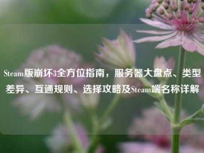 Steam版崩坏3全方位指南，服务器大盘点、类型差异、互通规则、选择攻略及Steam端名称详解