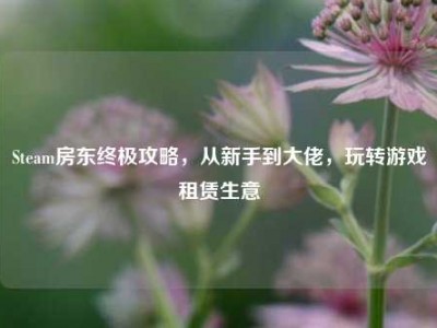 Steam房东终极攻略，从新手到大佬，玩转游戏租赁生意