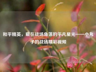 和平精英，藏在战场角落的平凡星光——小丸子的战场精彩视频