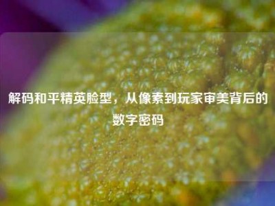 解码和平精英脸型，从像素到玩家审美背后的数字密码