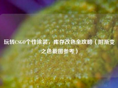 玩转CSGO个性涂装，库存改色全攻略（附渐变之色截图参考）
