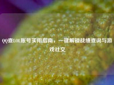 QQ查LOL账号实用指南，一键解锁战绩查询与游戏社交