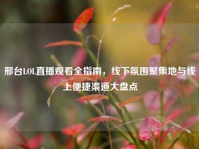邢台LOL直播观看全指南，线下氛围聚集地与线上便捷渠道大盘点
