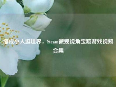 缩成小人逛世界，Steam微观视角宝藏游戏视频合集