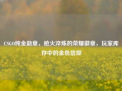 CSGO纯金勋章，枪火淬炼的荣耀徽章，玩家库存中的金色信仰