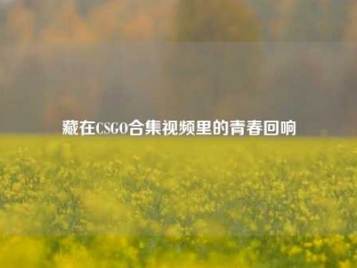 藏在CSGO合集视频里的青春回响