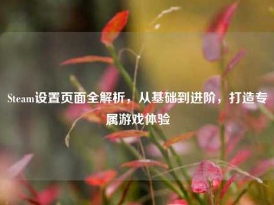 Steam设置页面全解析，从基础到进阶，打造专属游戏体验