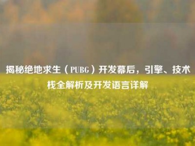 揭秘绝地求生（PUBG）开发幕后，引擎、技术栈全解析及开发语言详解