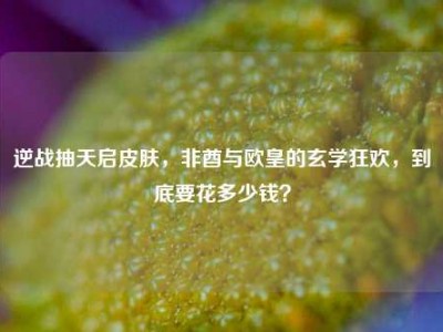 逆战抽天启皮肤，非酋与欧皇的玄学狂欢，到底要花多少钱？
