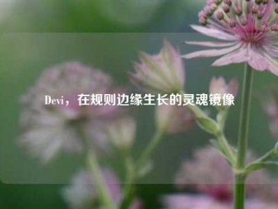 Devi，在规则边缘生长的灵魂镜像