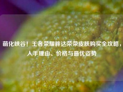 萌化峡谷！王者荣耀胖达荣荣皮肤购买全攻略，入手理由、价格与最优姿势