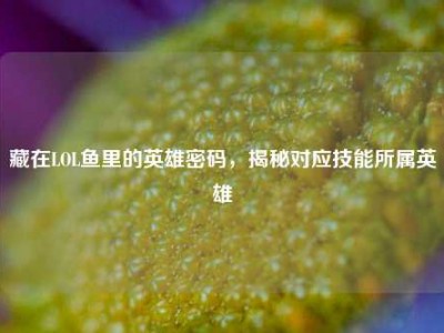 藏在LOL鱼里的英雄密码，揭秘对应技能所属英雄