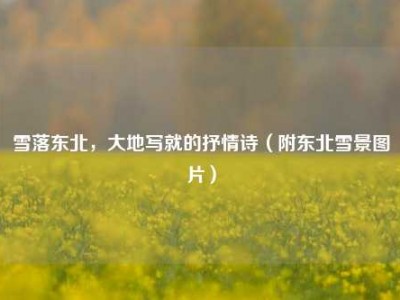雪落东北，大地写就的抒情诗（附东北雪景图片）