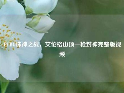 PUBG诛神之战，艾伦格山顶一枪封神完整版视频