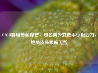 CSGO赛场蔷薇锋芒，知名美少女选手惊艳四方，绝美皮肤吸睛无数