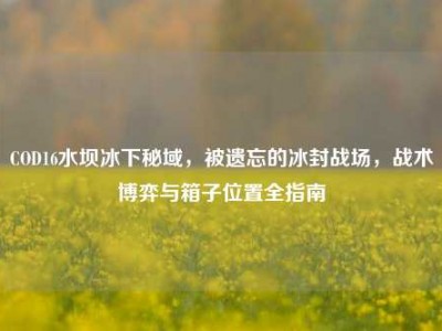 COD16水坝冰下秘域，被遗忘的冰封战场，战术博弈与箱子位置全指南