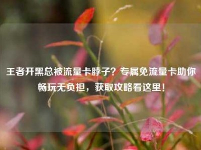 王者开黑总被流量卡脖子？专属免流量卡助你畅玩无负担，获取攻略看这里！