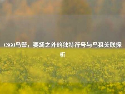 CSGO鸟警，赛场之外的独特符号与鸟狙关联探析