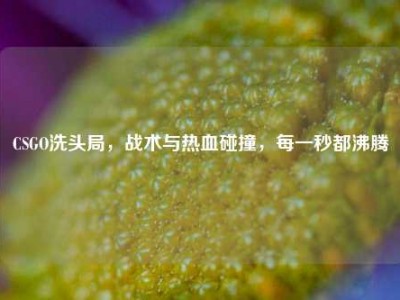 CSGO洗头局，战术与热血碰撞，每一秒都沸腾
