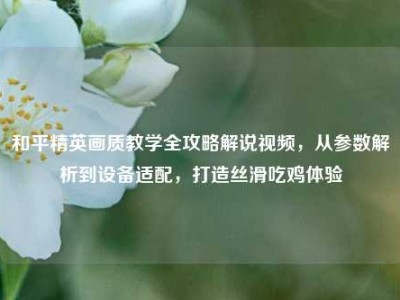 和平精英画质教学全攻略解说视频，从参数解析到设备适配，打造丝滑吃鸡体验