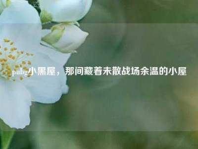 pubg小黑屋，那间藏着未散战场余温的小屋