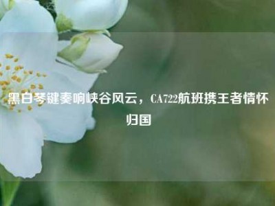 黑白琴键奏响峡谷风云，CA722航班携王者情怀归国