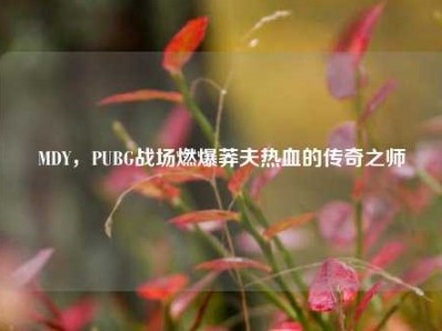MDY，PUBG战场燃爆莽夫热血的传奇之师