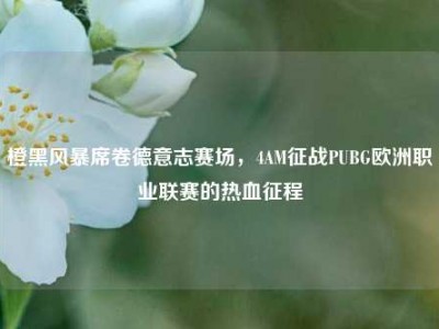 橙黑风暴席卷德意志赛场，4AM征战PUBG欧洲职业联赛的热血征程