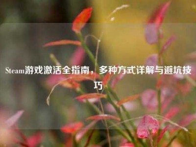 Steam游戏激活全指南，多种方式详解与避坑技巧