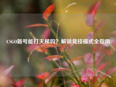 CSGO新号能打天梯吗？解锁竞技模式全指南