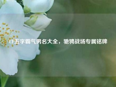 CF五字霸气男名大全，驰骋战场专属铭牌