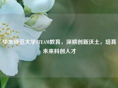 华东师范大学STEAM教育，深耕创新沃土，培育未来科创人才