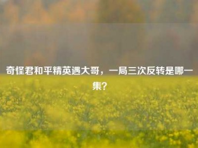 奇怪君和平精英遇大哥，一局三次反转是哪一集？