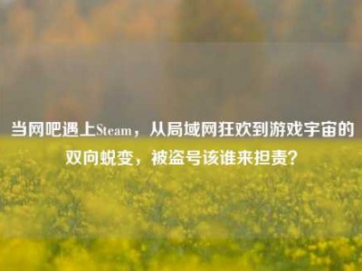 当网吧遇上Steam，从局域网狂欢到游戏宇宙的双向蜕变，被盗号该谁来担责？