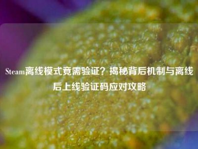 Steam离线模式竟需验证？揭秘背后机制与离线后上线验证码应对攻略