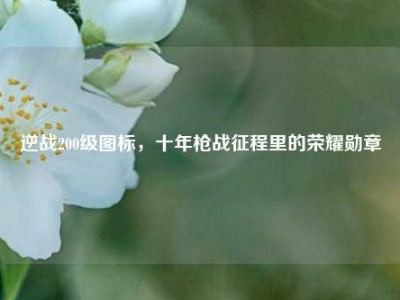 逆战200级图标，十年枪战征程里的荣耀勋章