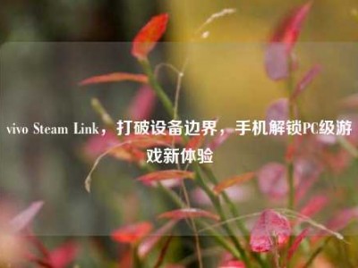 vivo Steam Link，打破设备边界，手机解锁PC级游戏新体验