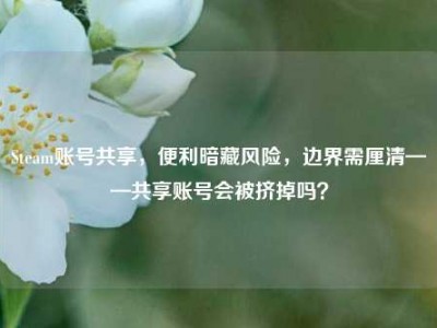Steam账号共享，便利暗藏风险，边界需厘清——共享账号会被挤掉吗？
