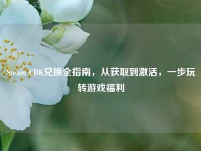Steam CDK兑换全指南，从获取到激活，一步玩转游戏福利