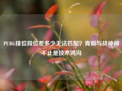 PUBG排位段位差多少无法匹配？青铜与战神间不止是技术鸿沟