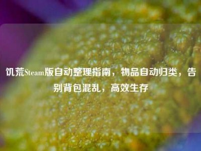 饥荒Steam版自动整理指南，物品自动归类，告别背包混乱，高效生存