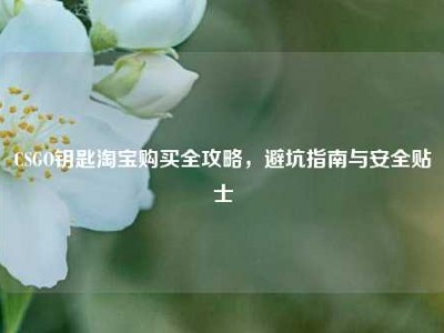 CSGO钥匙淘宝购买全攻略，避坑指南与安全贴士