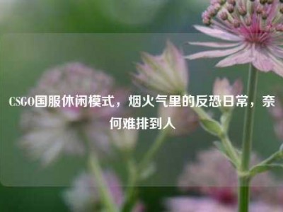 CSGO国服休闲模式，烟火气里的反恐日常，奈何难排到人
