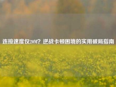 连接速度仅20M？逆战卡顿困境的实用破局指南